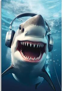 Obraz žralok se sluchátky