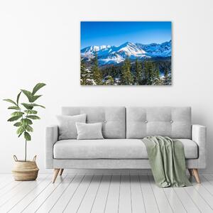 Foto obraz na plátně Panorama Tater pl-oc-100x70-f-181484516