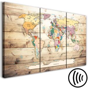 Obraz Mapa světa: Barevné světadíly (3dílná)