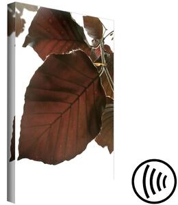 Obraz Elegance podzimu (1-dílný) - Listy stromu v hnědých odstínech
