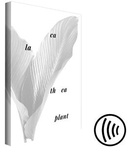 Obraz Calathea Plant (1 kus) vertikální