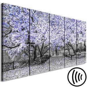 Obraz Kvetoucí magnólie - černobílá fotografie s fialovým akcentem