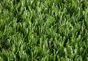 Lano - koberce a trávy Travní koberec Castor metrážní - Rozměr na míru cm