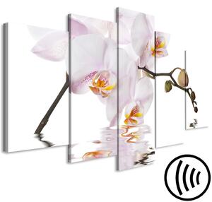 Obraz Okouzlující orchidej (5dílná) široká