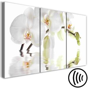 Obraz Vodní orchidej (3-dílný) - Větvička květu přírody v bílém odstínu