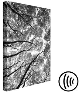 Obraz Vysoké stromy (1 kus) vertikální