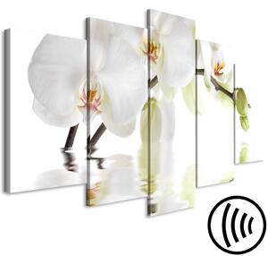 Obraz Úchvatná orchidej (5dílná) široká