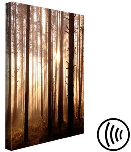 Obraz Stinné stromy (1-dílný) - lesní krajina se slunečními paprsky