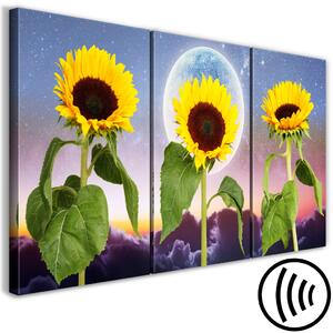 Obraz Vesmírné slunečnice (3 kusy)
