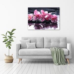 Foto obraz na plátně do obýváku Růžová orchidej pl-oc-100x70-f-28903356