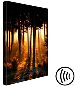 Obraz Les v objetí západu slunce (1-dílný) - procházka v přírodě
