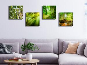 Obraz Oáza přírody (4-dílný) - krajina zelených stromů a tekoucí vody