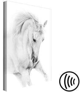 Obraz Bílý kůň (1-dílný) vertikální
