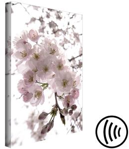Obraz Třešňová příroda (1-dílný) - kvetoucí jemné okvětní plátky květu