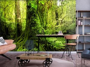 Fototapeta Džungle - krajina s stromy a tropickými listy v odstínech zelené