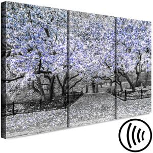 Obraz Park Magnolia (3dílný) fialový