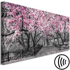 Obraz Park magnólií (1-dílný) úzký - růžové květy v šedém klimatu