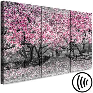 Obraz Kvetoucí magnólie - triptych s magnóliemi a růžovými květy