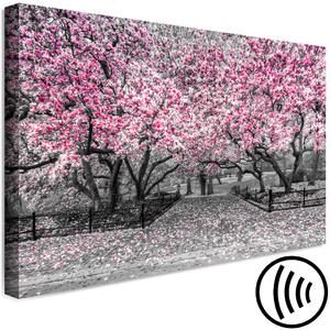 Obraz Park magnólií (1-dílný) široký - růžové květy v šedém klimatu