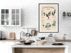 Plakát Kuchyňské bylinky
