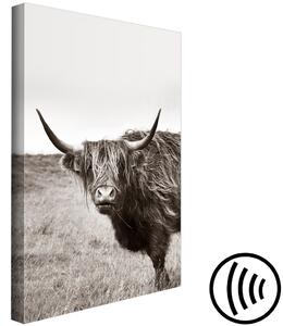 Obraz Věčný (1-dílný) svislý - šedá fotografie býka na louce