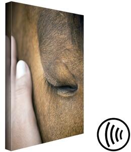 Obraz Uklidňující dotek (1-dílný) svislý - ruka hladící hnědého koně