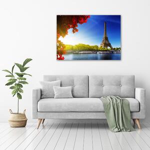 Foto obraz na plátně Eiffelova věž Paříž pl-oc-100x70-f-44409283