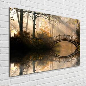 Foto-obrah sklo tvrzené Starý most podzim pl-osh-100x70-f-44630410