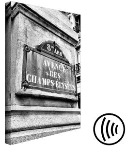 Obraz Avenue Des Champs Elysees (1 panel) vertikální