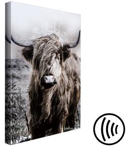 Obraz Skotský býk v sepia - divoké zvíře s dlouhými vlasy na světlém pozadí