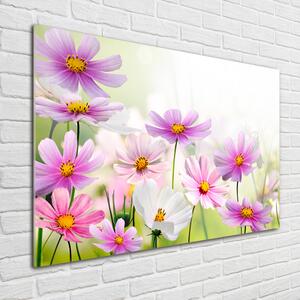 Foto obraz sklo tvrzené Květiny na louce pl-osh-100x70-f-49015861