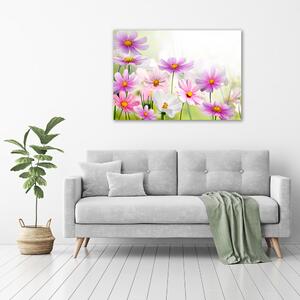 Foto obraz sklo tvrzené Květiny na louce pl-osh-100x70-f-49015861