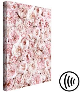 Obraz Růžový koberec - květy viděné shora ve světle růžové barvě