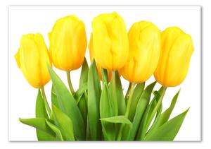 Foto-obrah sklo tvrzené Žluté tulipány pl-osh-100x70-f-50296445
