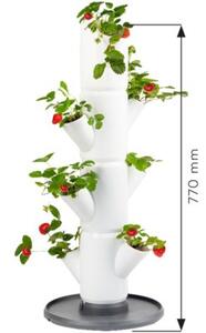 SISSI STRAWBERRY starter samozavlažovací truhlík 4 patra, antracit