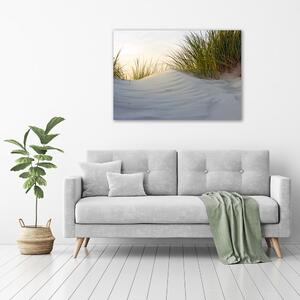 Foto obraz canvas Mořské duny pl-oc-100x70-f-51837949
