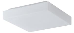 Osmont LIB55311 Libra 1, stropní čtvercové svítidlo ze skla, 2x40W E27, 32x32cm, IP44