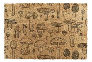 Rohožka z kokosového vlákna 60x90 cm Mushrooms – Artsy Doormats