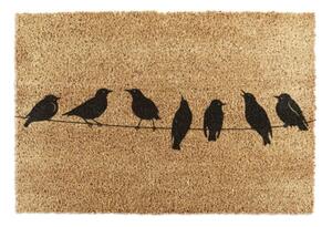 Rohožka z kokosového vlákna 60x90 cm Birds On a Wire – Artsy Doormats