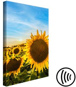 Obraz Květy míru (1-dílný) svislý - slunečnice na rozlehlém poli