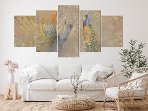 Obraz Pávi v tanci (5-dílný) široký - majestátní barevní ptáci