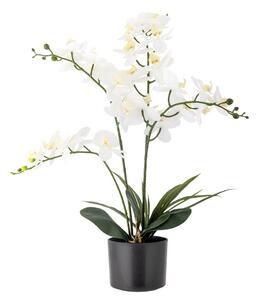 Umělá květina (výška 84 cm) Orchid – Bloomingville