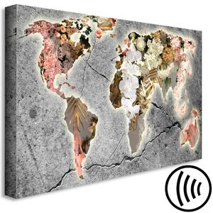 Obraz Kvete kontinenty (1-dílný) široký - mapa světa v různých květech