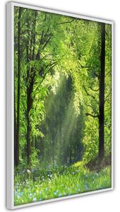 Artgeist Forest Path Velikosti (šířkaxvýška): 20x30, Finální vzhled: Černý rám s paspartou