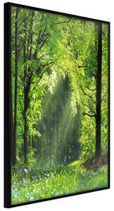 Artgeist Forest Path Velikosti (šířkaxvýška): 20x30, Finální vzhled: Černý rám s paspartou