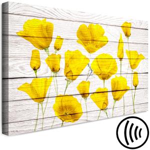 Obraz Žluté květiny - rostliny ručně malované na pozadí světlého dřeva