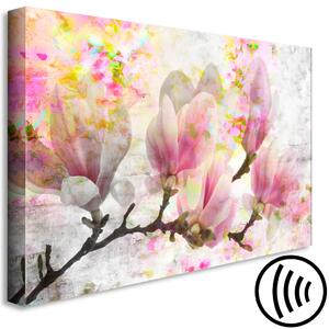 Obraz Kvete magnólie - strom posypán růžovými květy