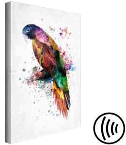 Obraz Duha pták - barevný papoušek na větvi malovaný akvarelem
