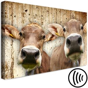 Obraz Portrét dvou krav - zvířata na pozadí betonové zdi