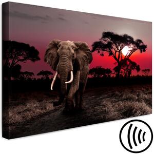 Obraz Africká výprava (1-dílný) - Třetí varianta - slon
